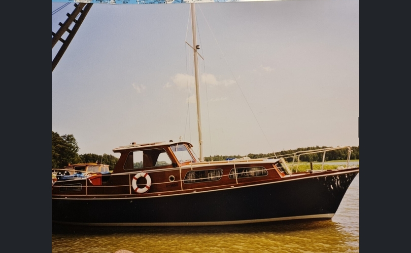 Family Cruiser-kuva-3